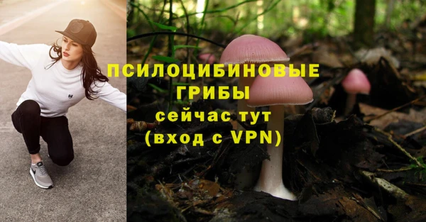 винт Балабаново