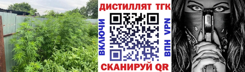 ТГК концентрат  Бирюсинск 