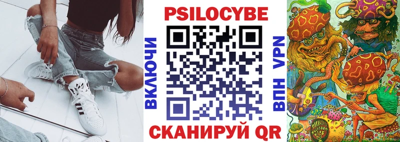 цена наркотик  Бирюсинск  Псилоцибиновые грибы Psilocybine cubensis 