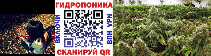 Конопля планчик маркетплейс официальный сайт Бирюсинск
